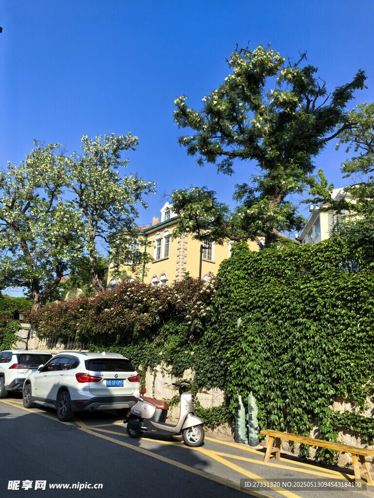 街道旁绿树掩映的住宅