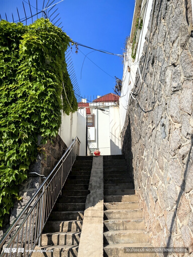 蜿蜒石阶旁的绿植与建筑