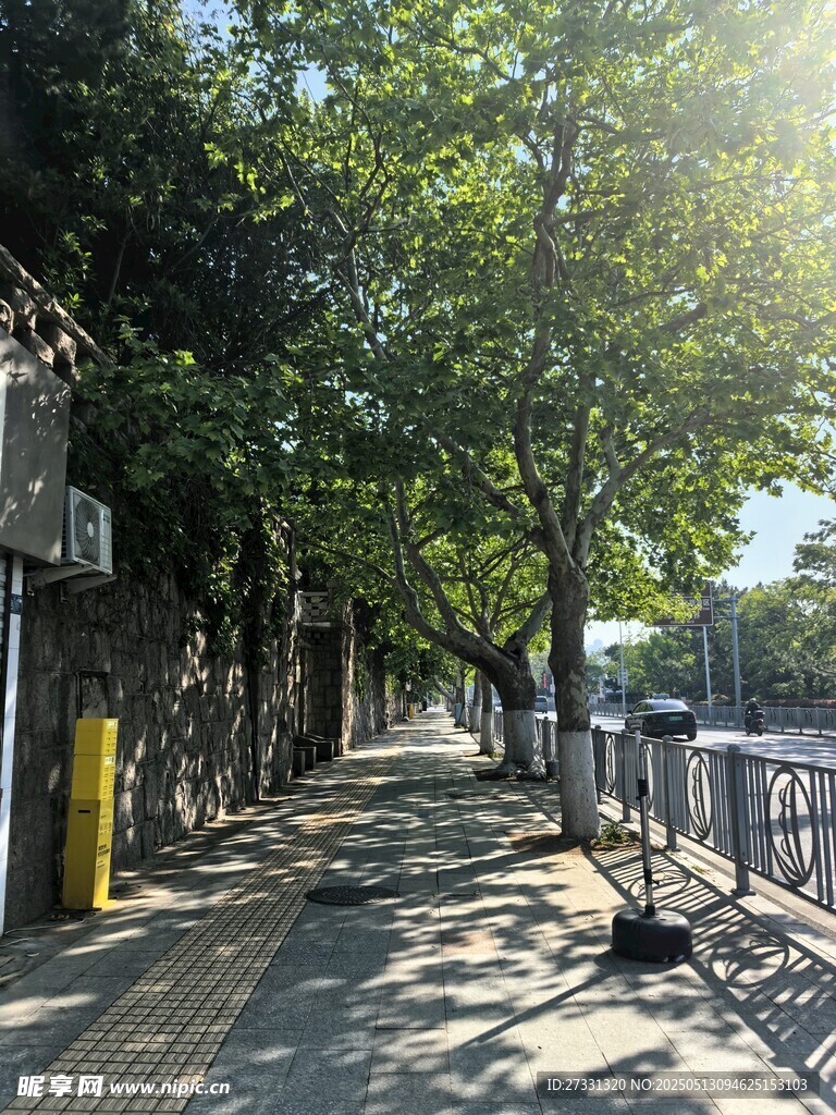阳光洒落的静谧林荫小道