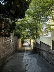幽静小巷绿意环绕