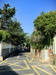 空旷街道与路旁绿植景观