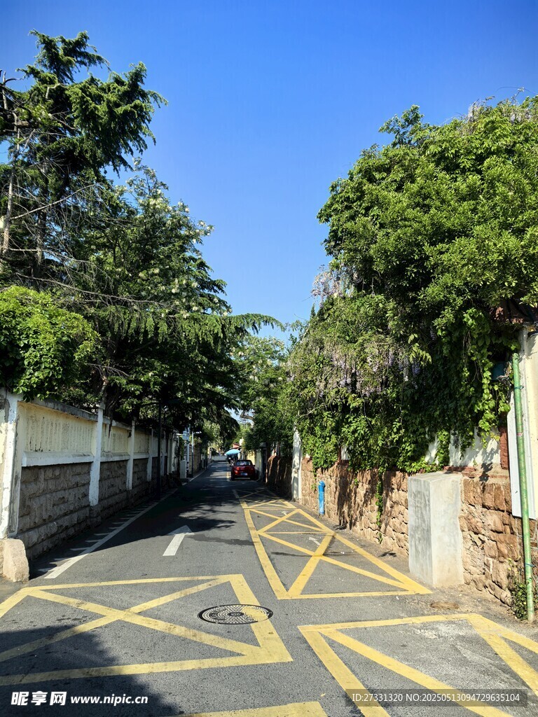 空旷街道与路旁绿植景观