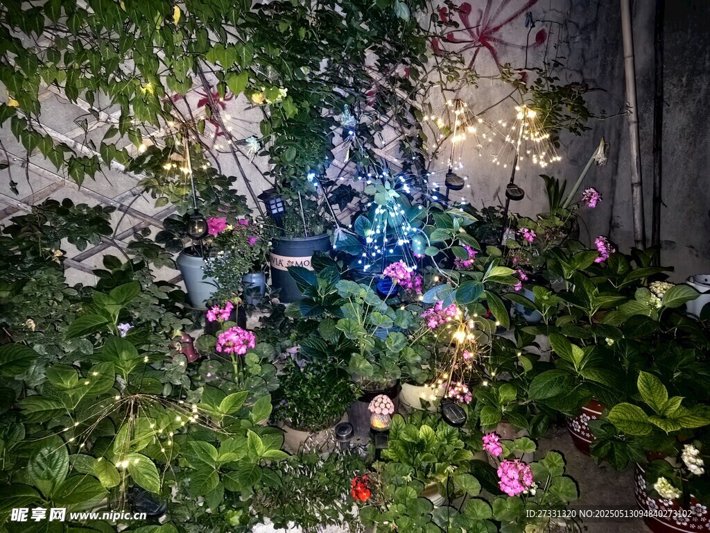梦幻多彩的花园花卉景观