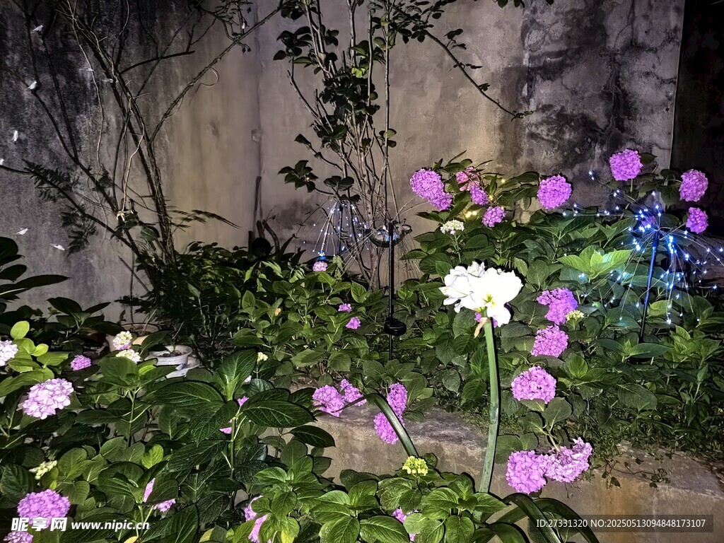 夜幕下的多彩花卉景观