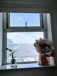窗边花束与远山景致