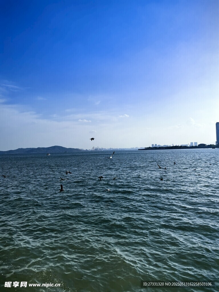 碧海蓝天远眺城市景观