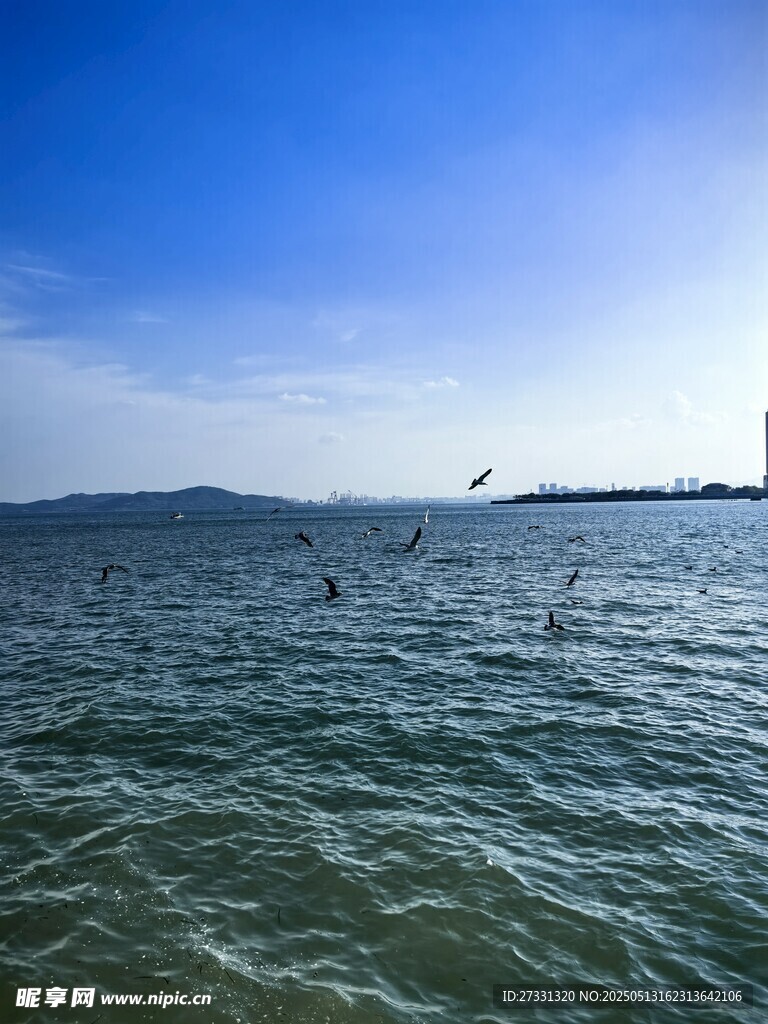 海上风筝冲浪美景
