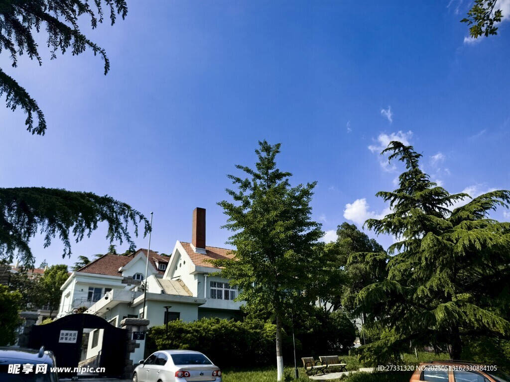 绿树环绕的温馨住宅