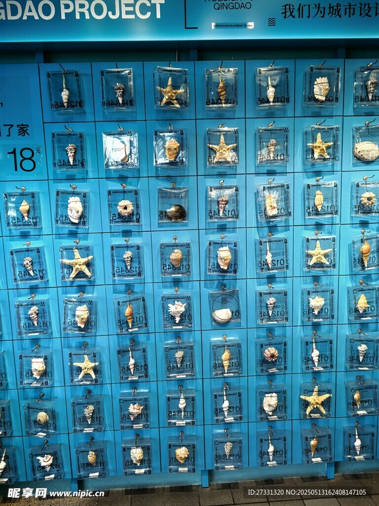 海洋生物标本展示墙
