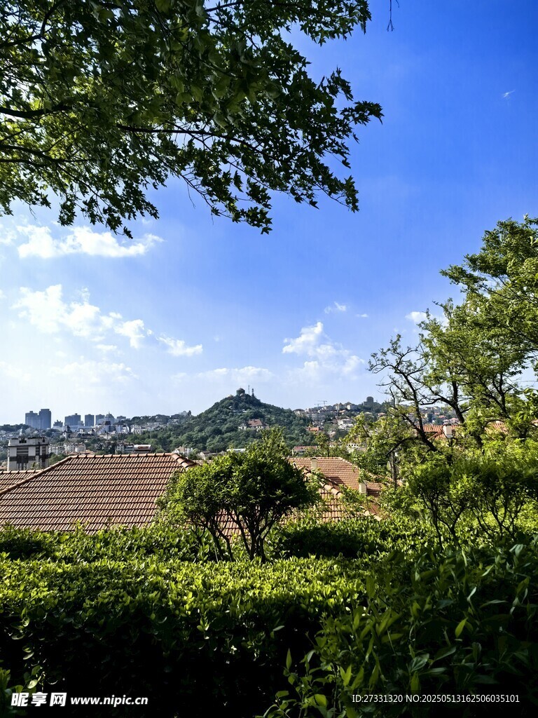 青岛绿意盎然的户外风景