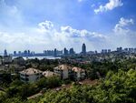 青岛城市天际线与葱郁绿植景观