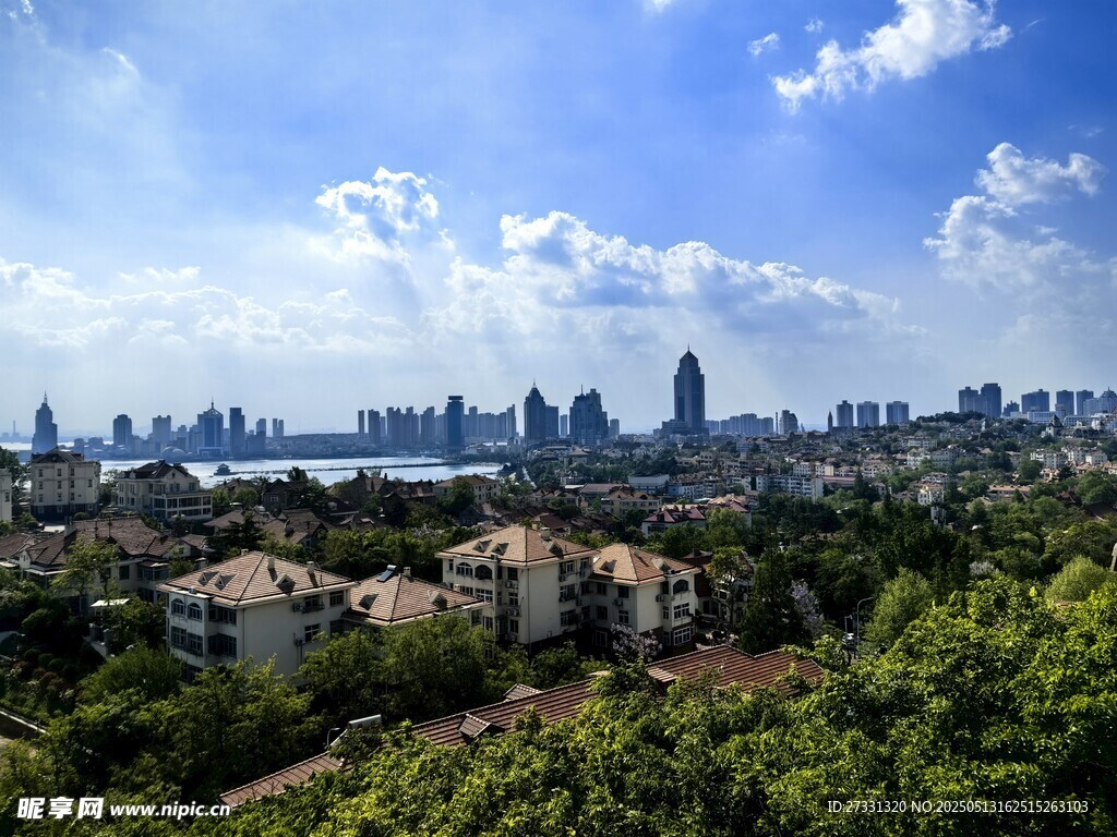 青岛城市天际线与葱郁绿植景观