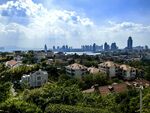 青岛城市与绿树相映的美丽景致
