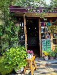 温馨绿植咖啡店外观