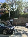 街道旁停放车辆及周边景象