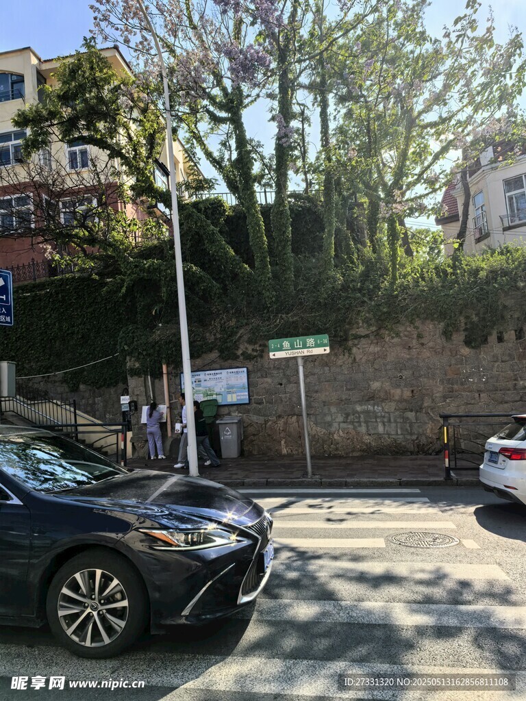 街道旁停放车辆及周边景象