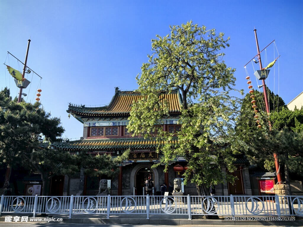 中式古建筑前绿树成荫
