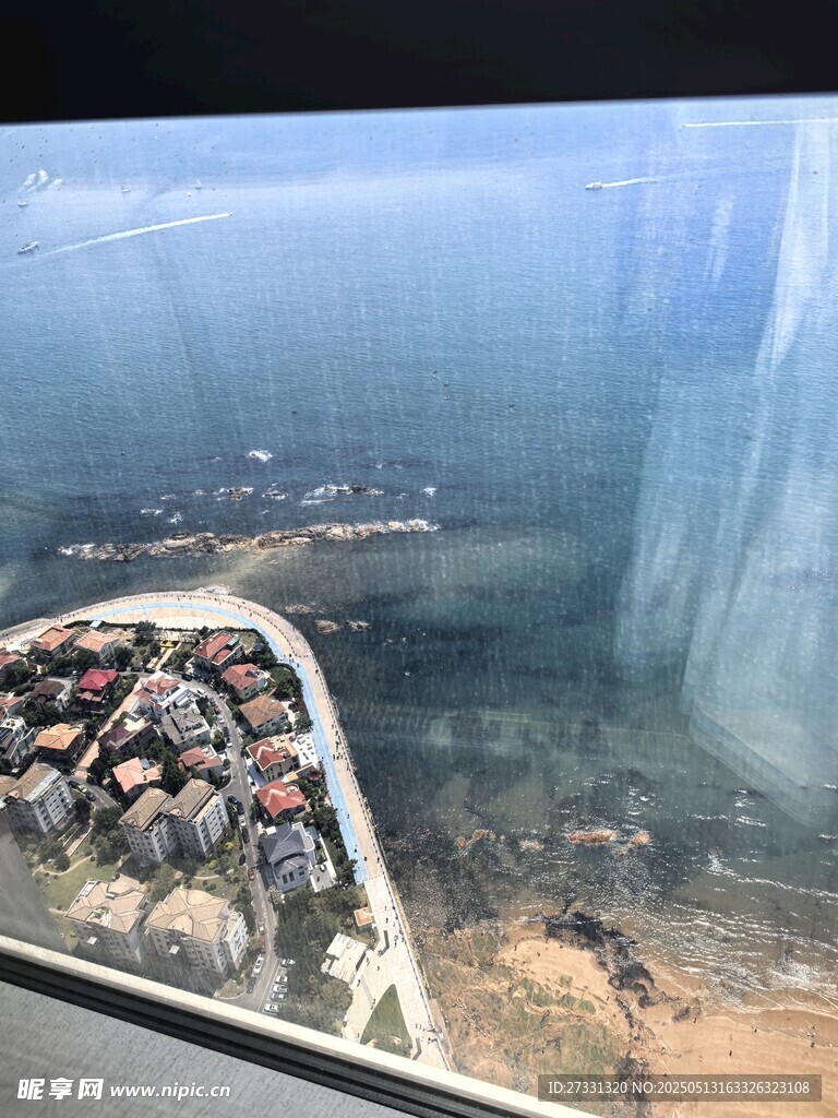 海底景观中的多样海洋生物
