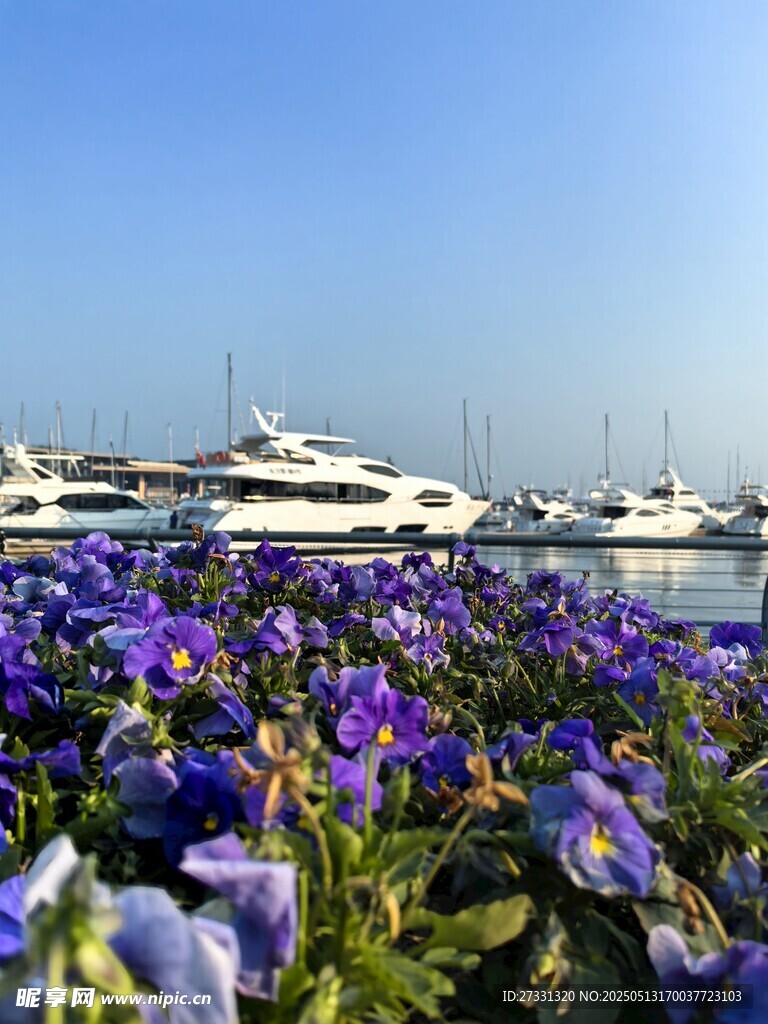 花海旁的豪华游艇风光