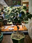 室内绿植环绕的休闲空间