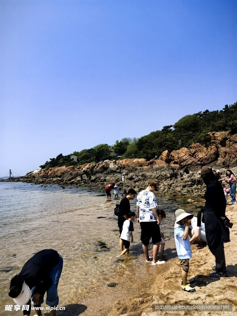 海边众人携宠物漫步沙滩