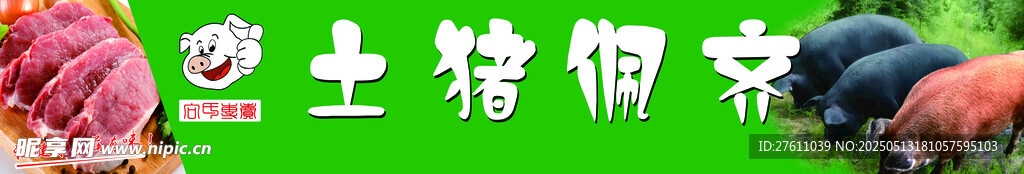土猪红毛猪