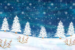冬日雪景中的挺拔雪松