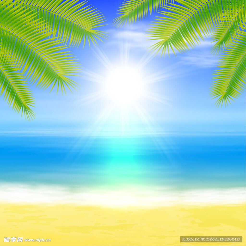 夏日海滩阳光棕榈树美景