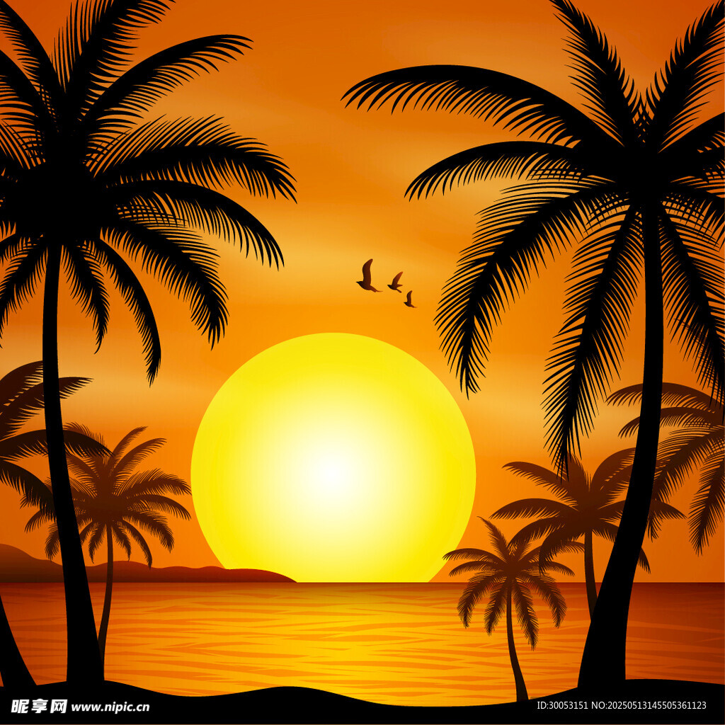 夕阳下的椰林海景