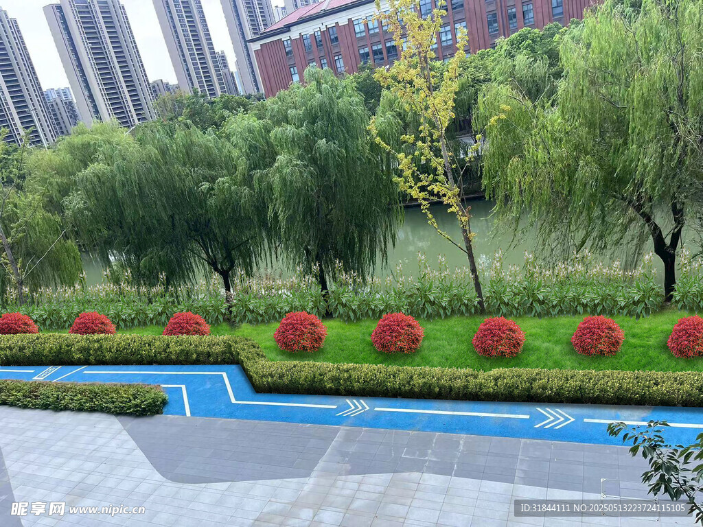 绿化效果