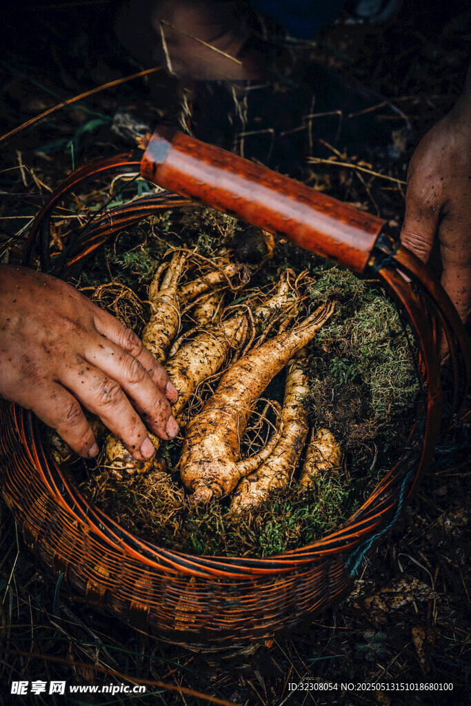 户外烤架上的美味烤虾