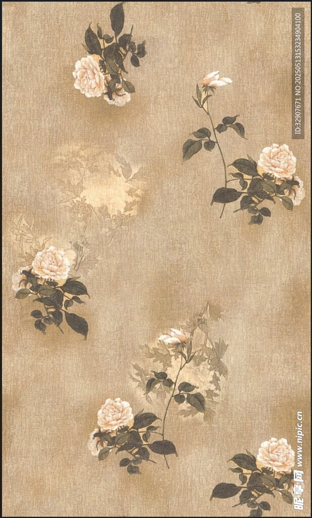 晕染月季花