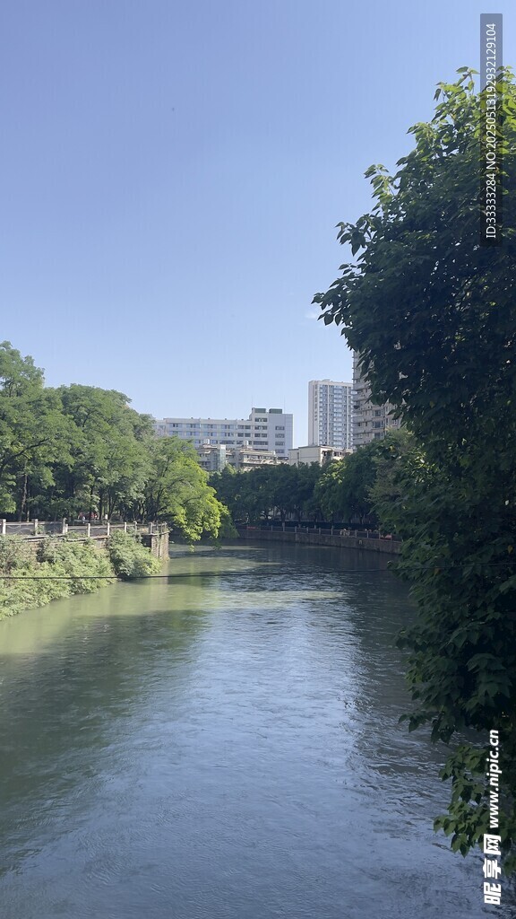 河畔绿树环绕的宁静风光