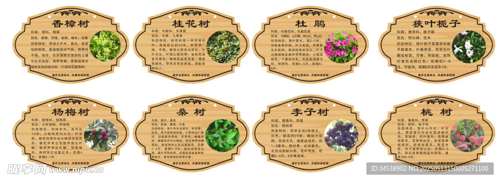 树牌