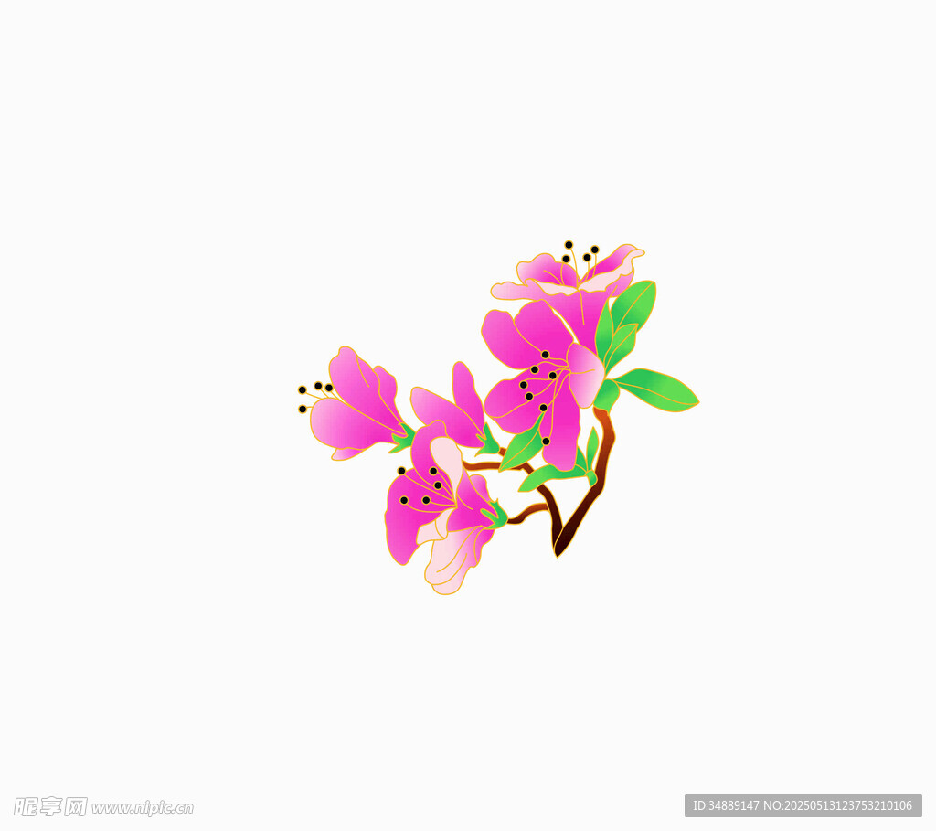 粉色花朵插画 杜鹃花