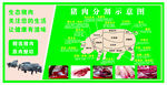 猪肉分解图