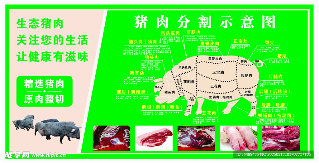 猪肉分解图