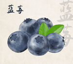 手绘蓝莓