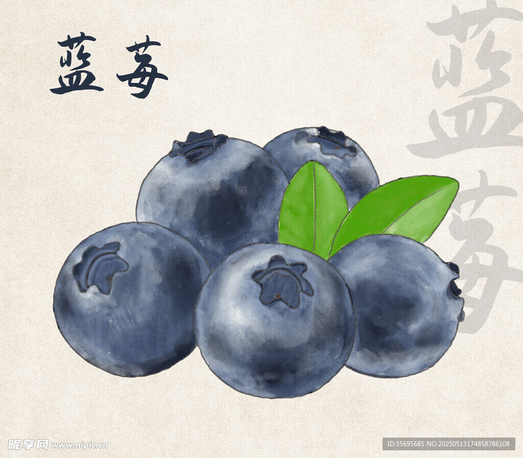 手绘蓝莓