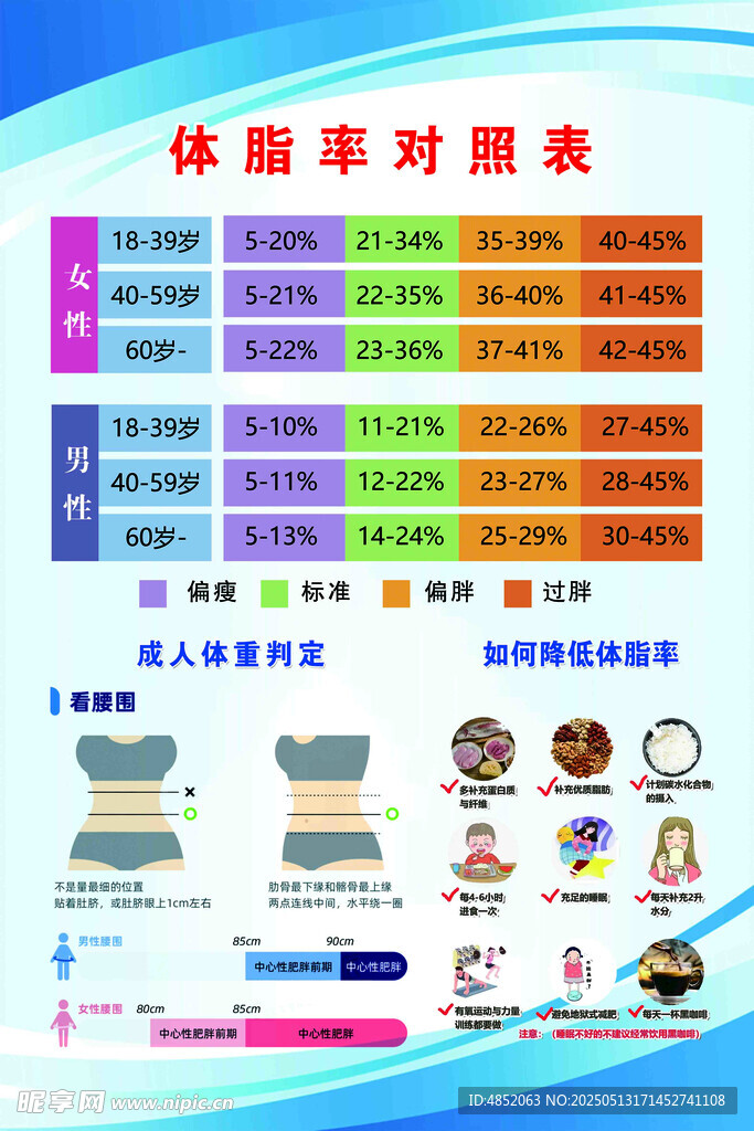 体脂比率对照表展示