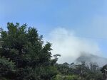 云雾缭绕的山林美景