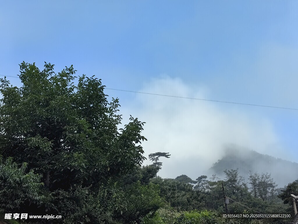 云雾缭绕的山林美景