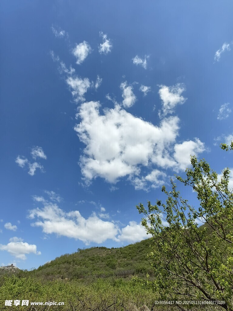 蓝天绿树间的自然美景