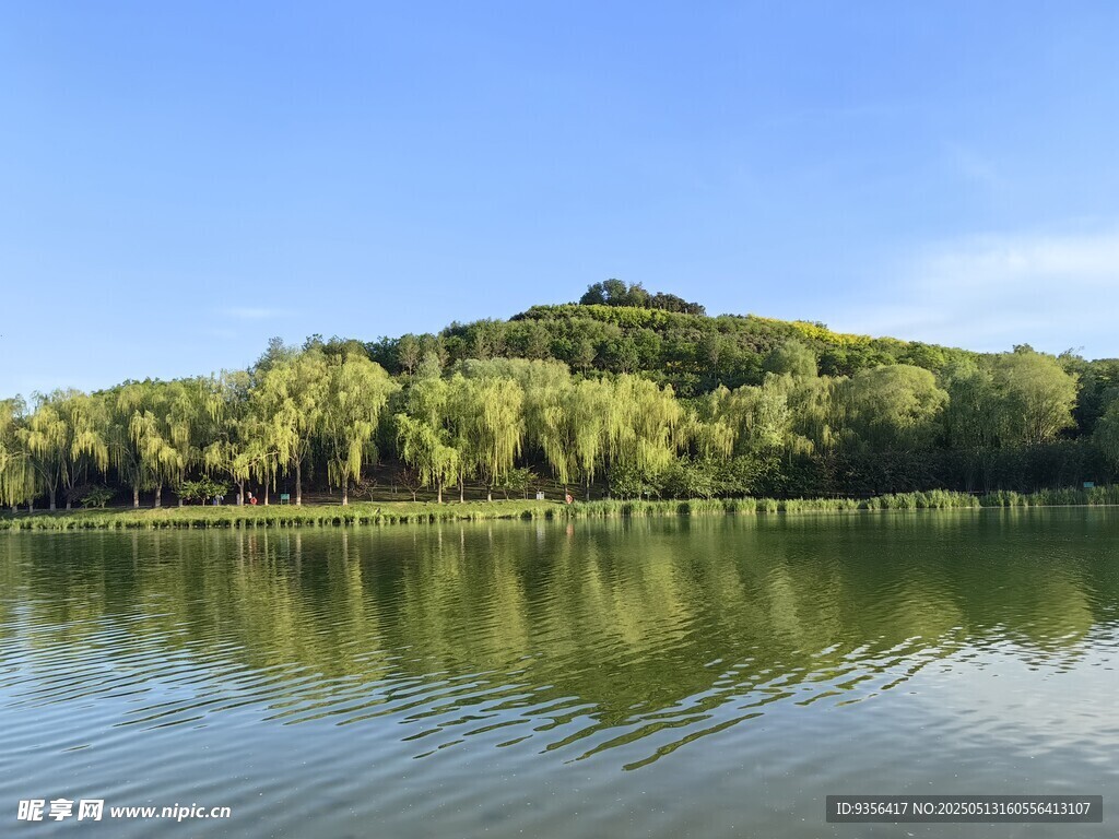 湖畔青山绿树美景
