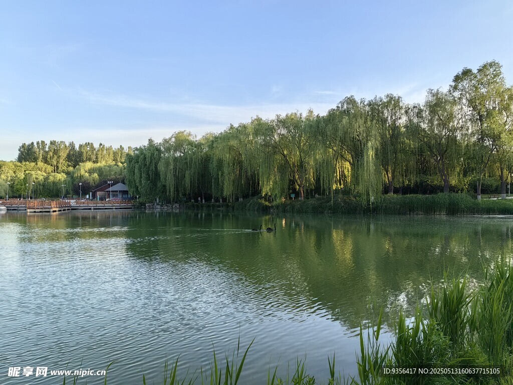山水风景