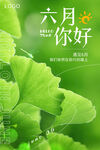 六月海报