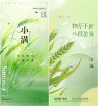 小满