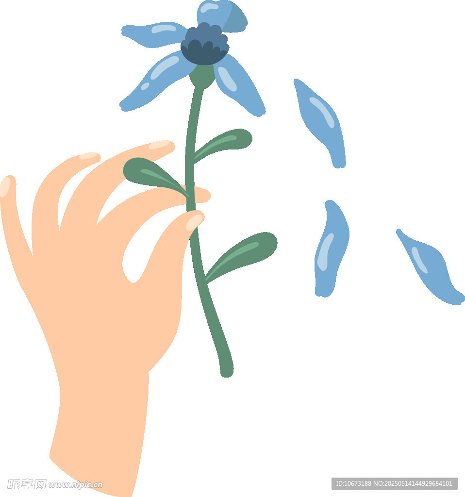 手抚蓝花花瓣飘落