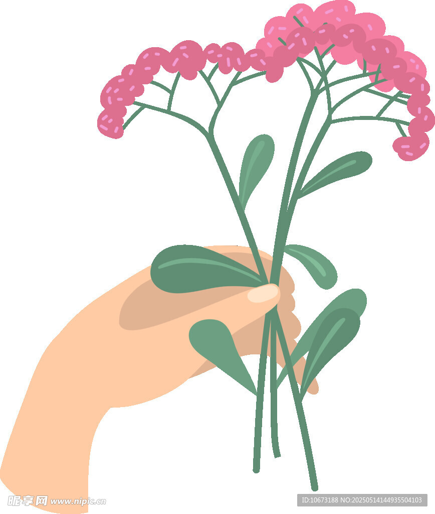 手捧粉色花卉插画