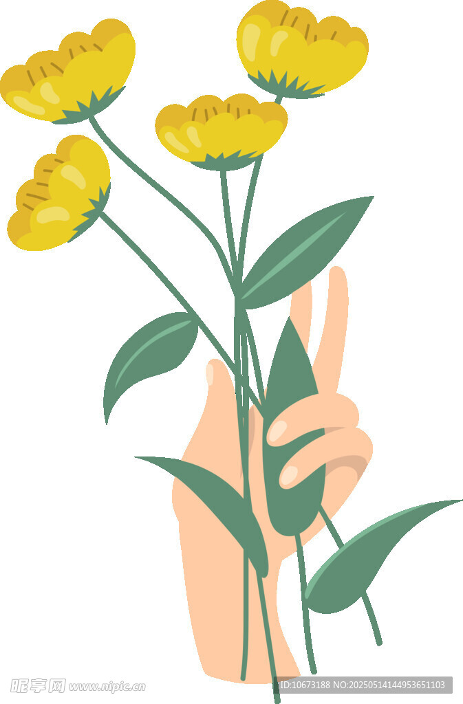 手捧黄花比耶插画